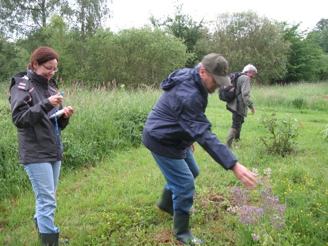 Suivi milieu 13 mai 2007 PDH 007